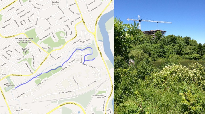 Hot spots - Google Maps