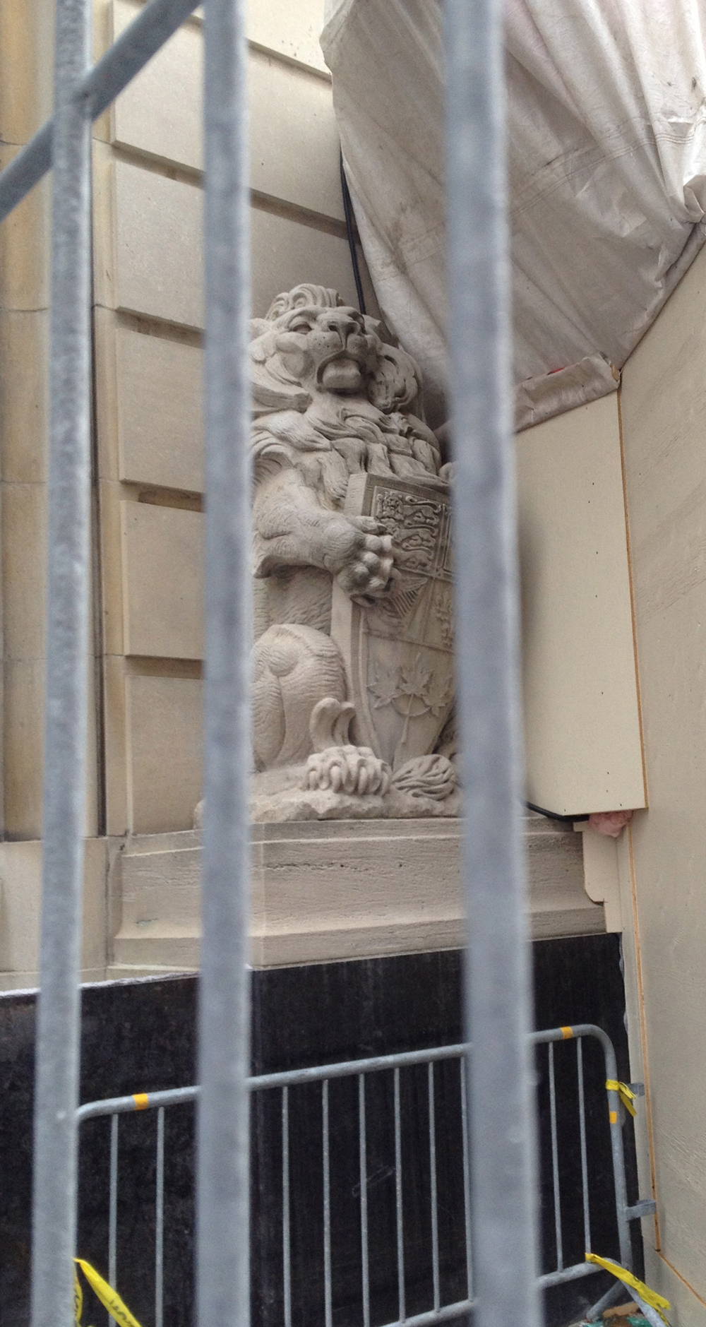 Caged Lion