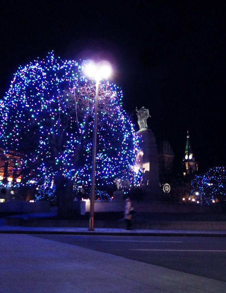 Lights at the Cenotaph