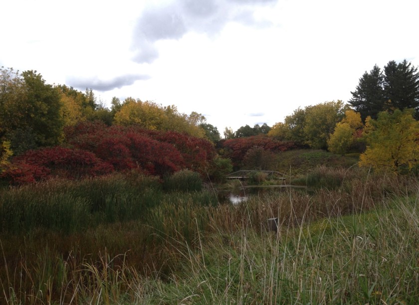 Same spot in October