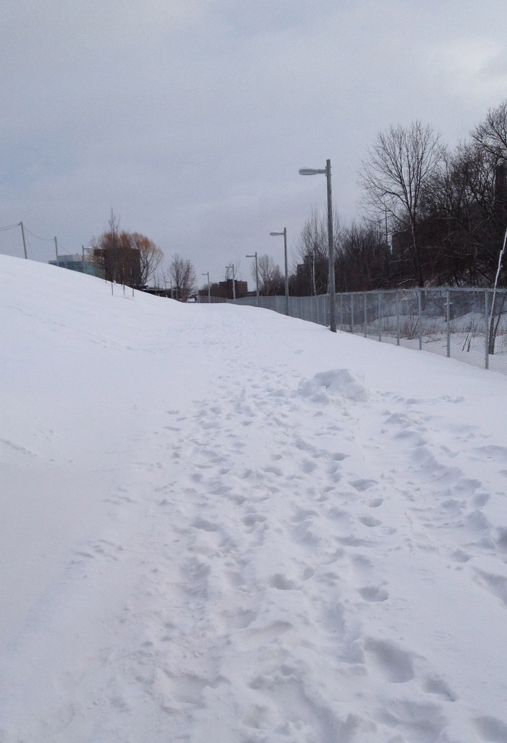 O-Train path in the winter