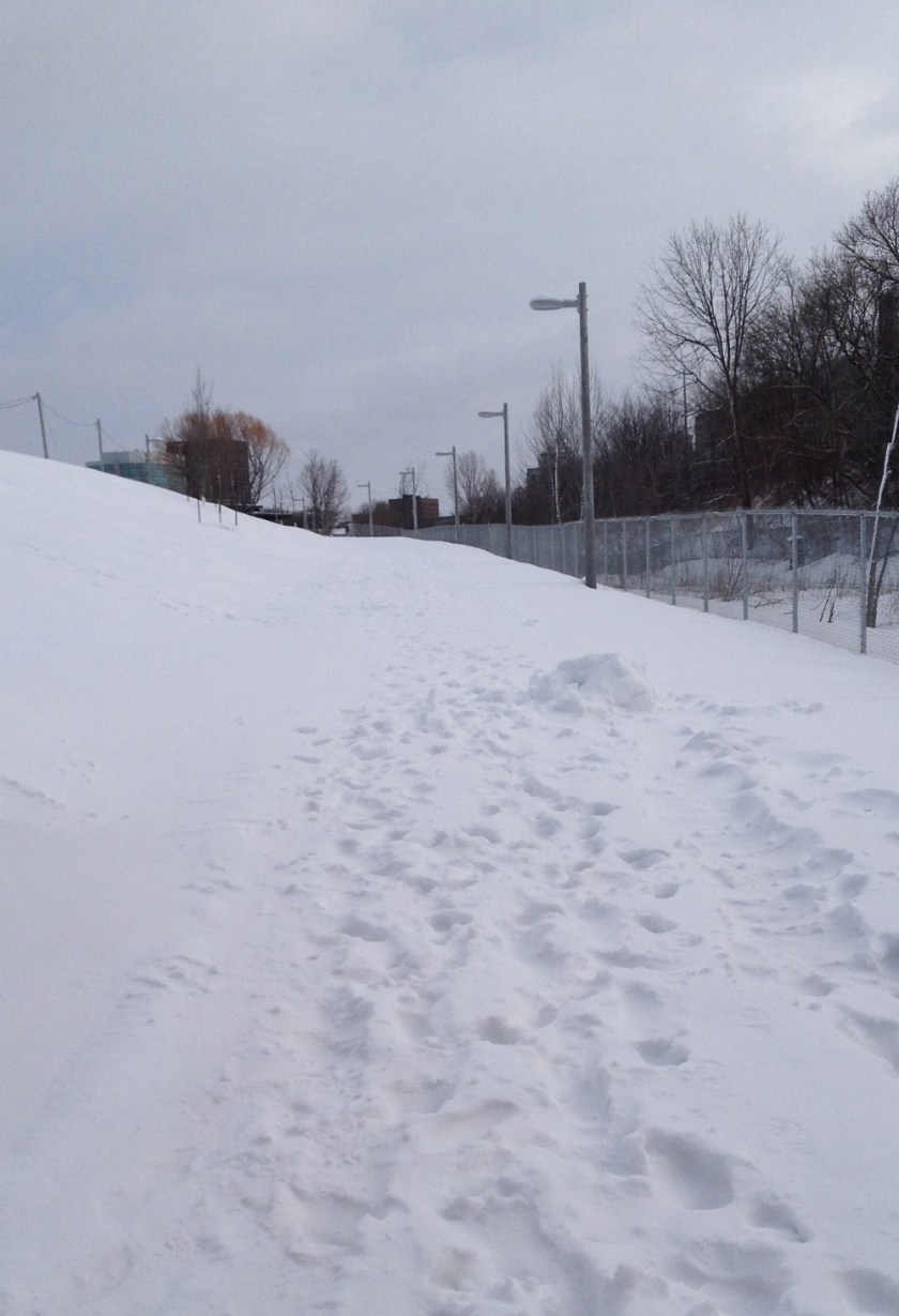O-Train path in the winter