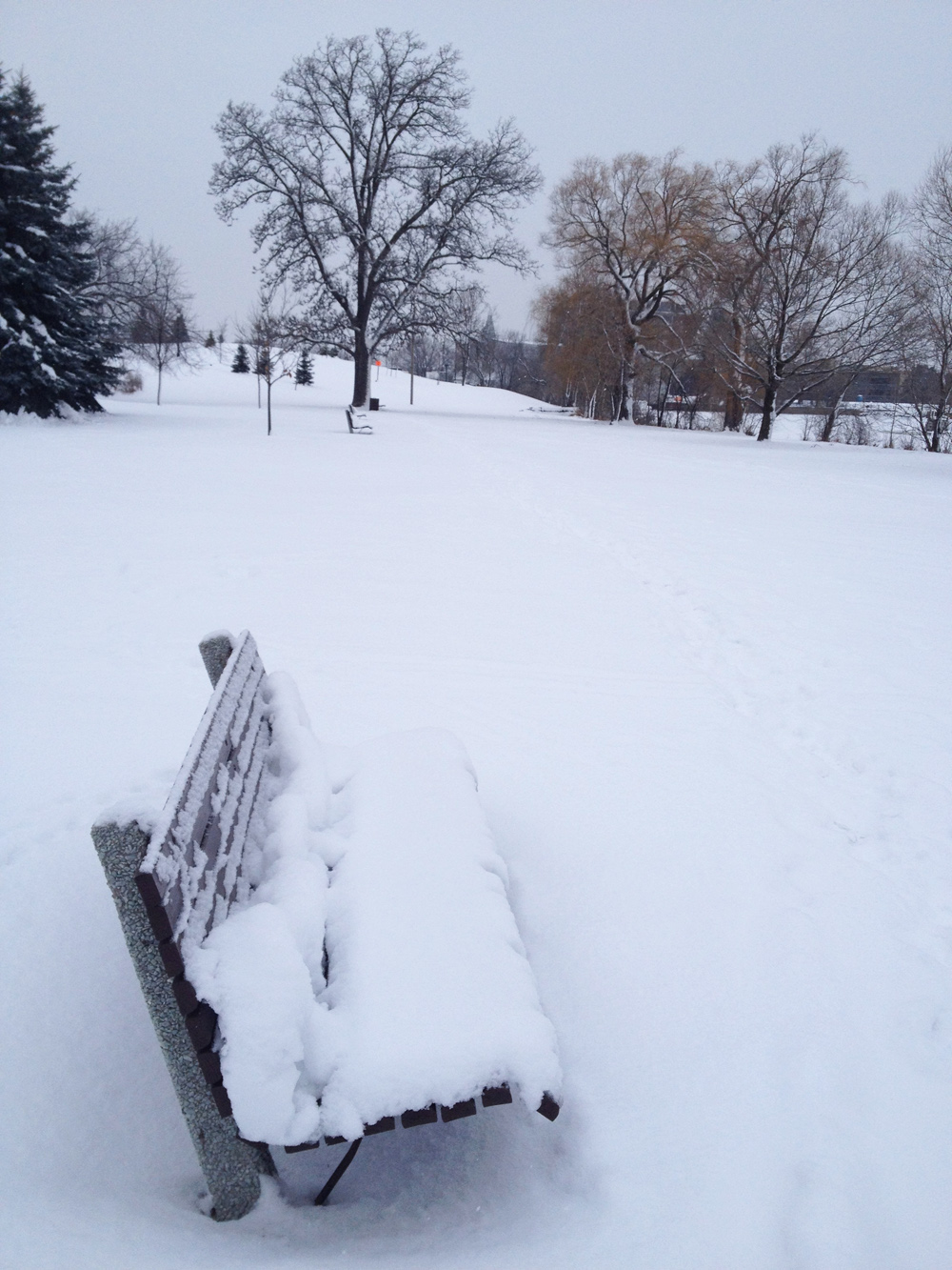 Path through Bordeleau Park