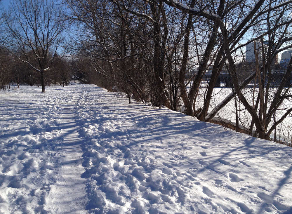 Rideau River Trail in winter