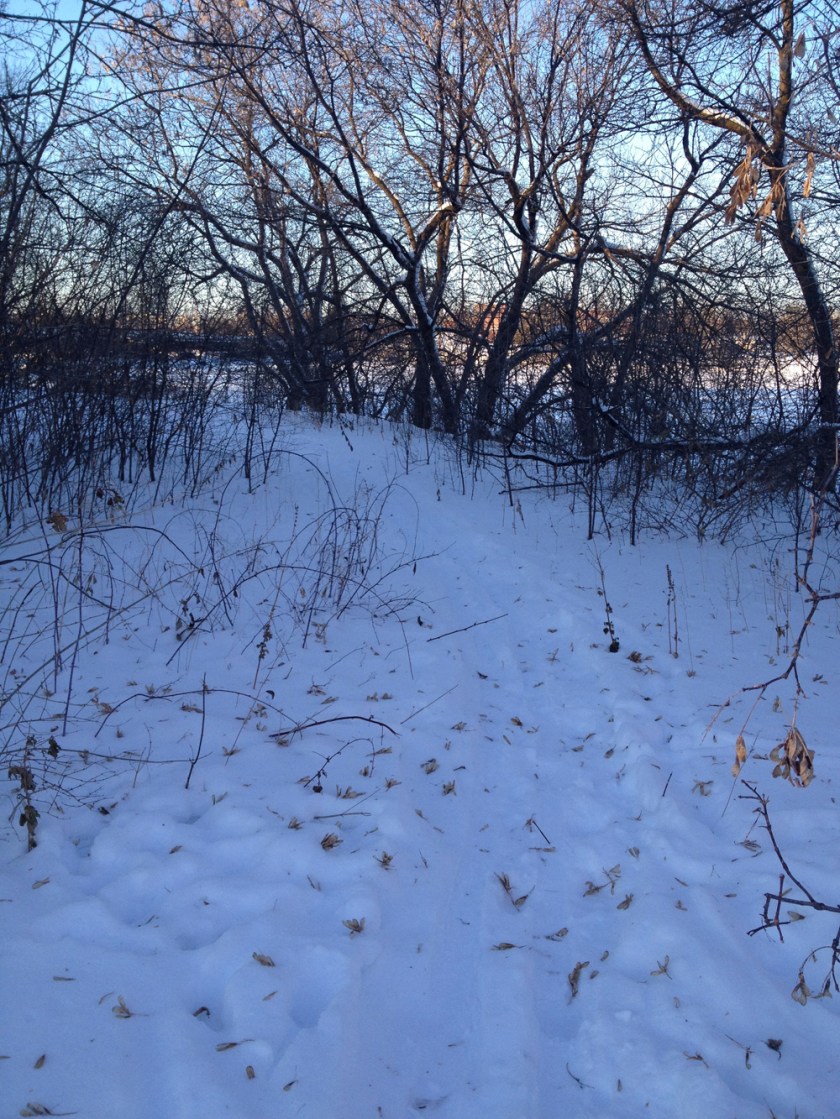 Trail along river before River Street