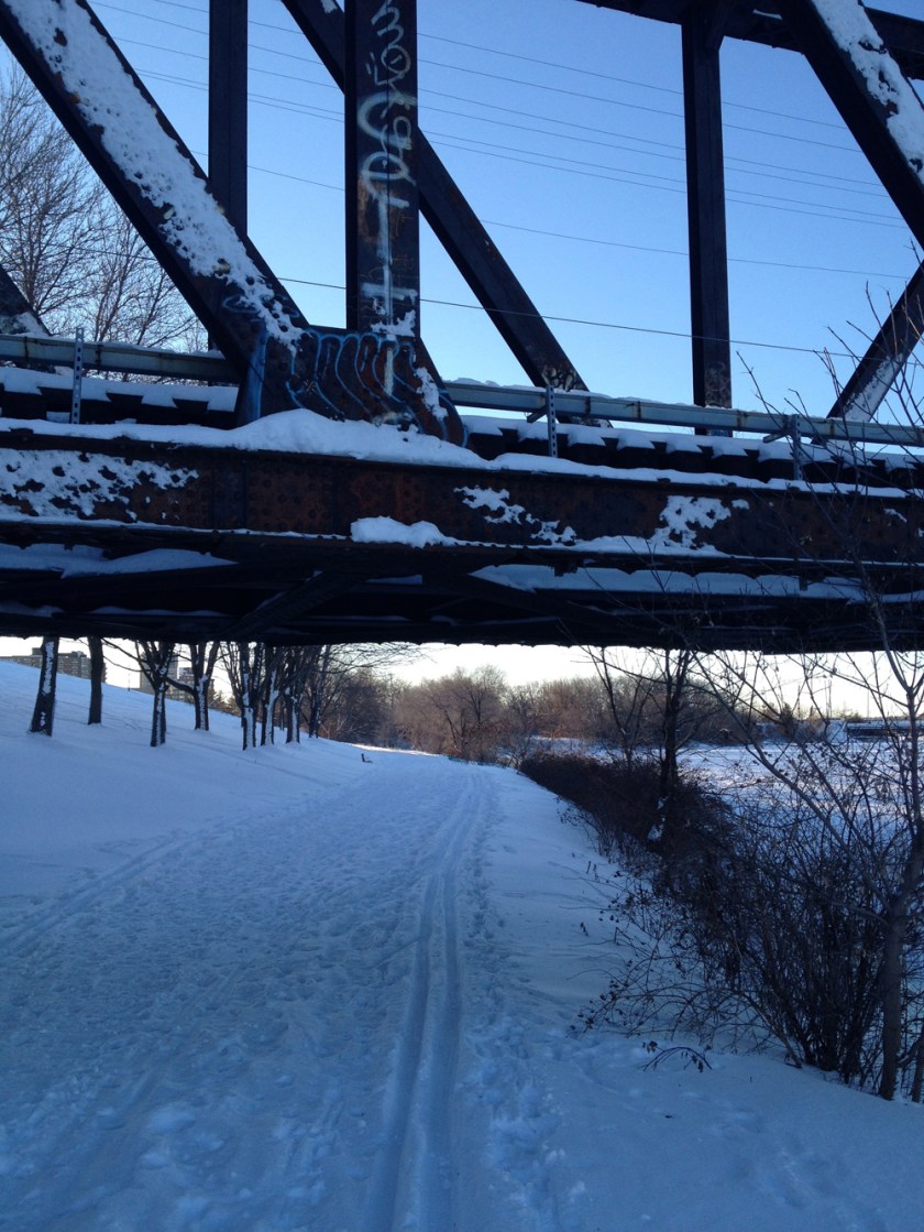 Ottawa River Pathway in the winter