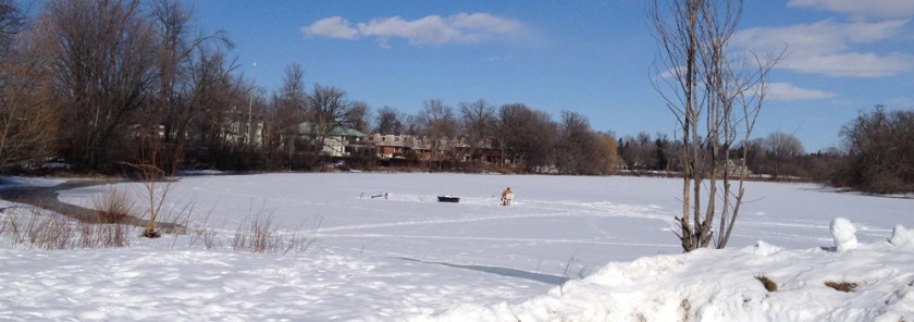 Fishing on the Rideau