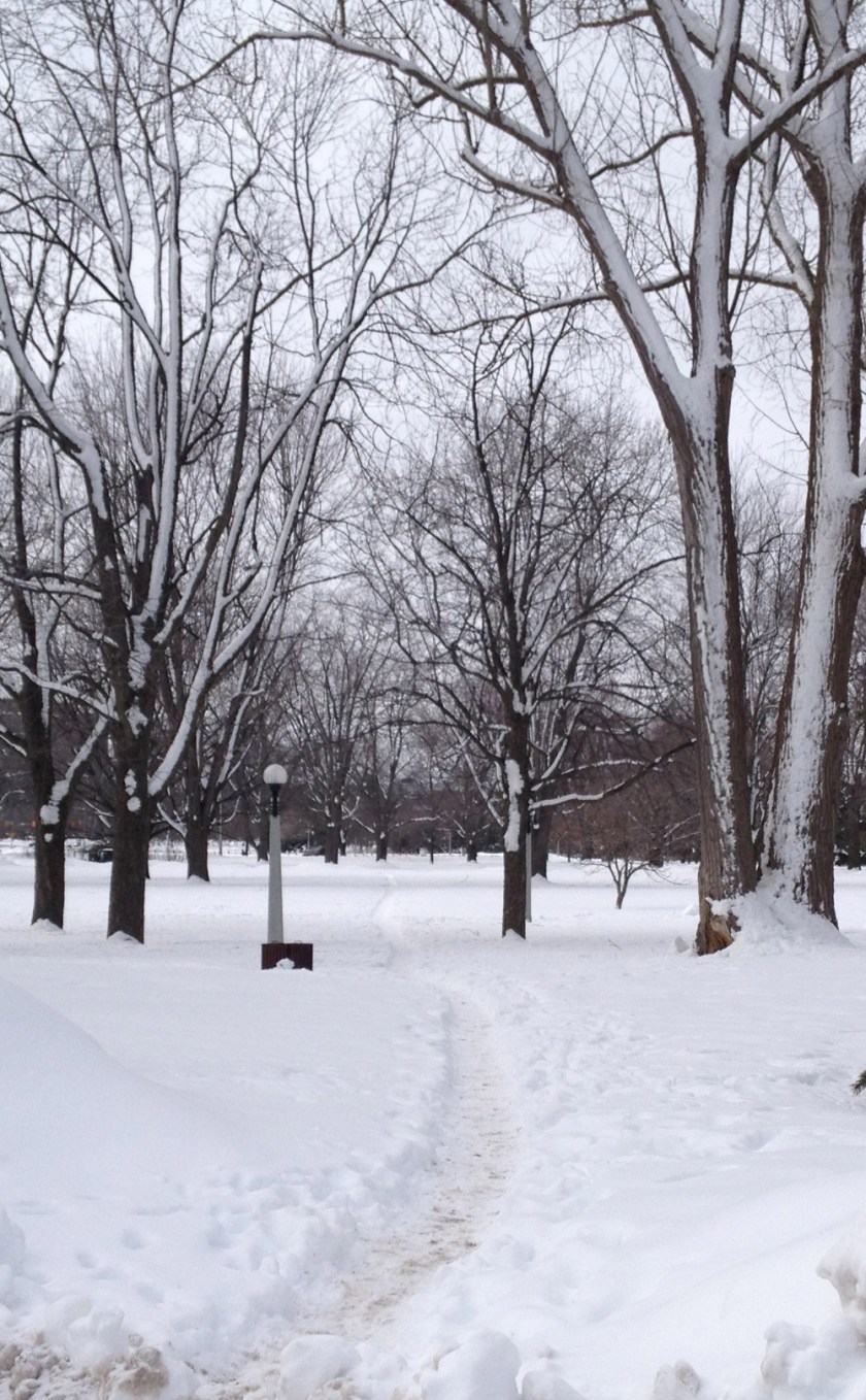 Path through Commisioners Park