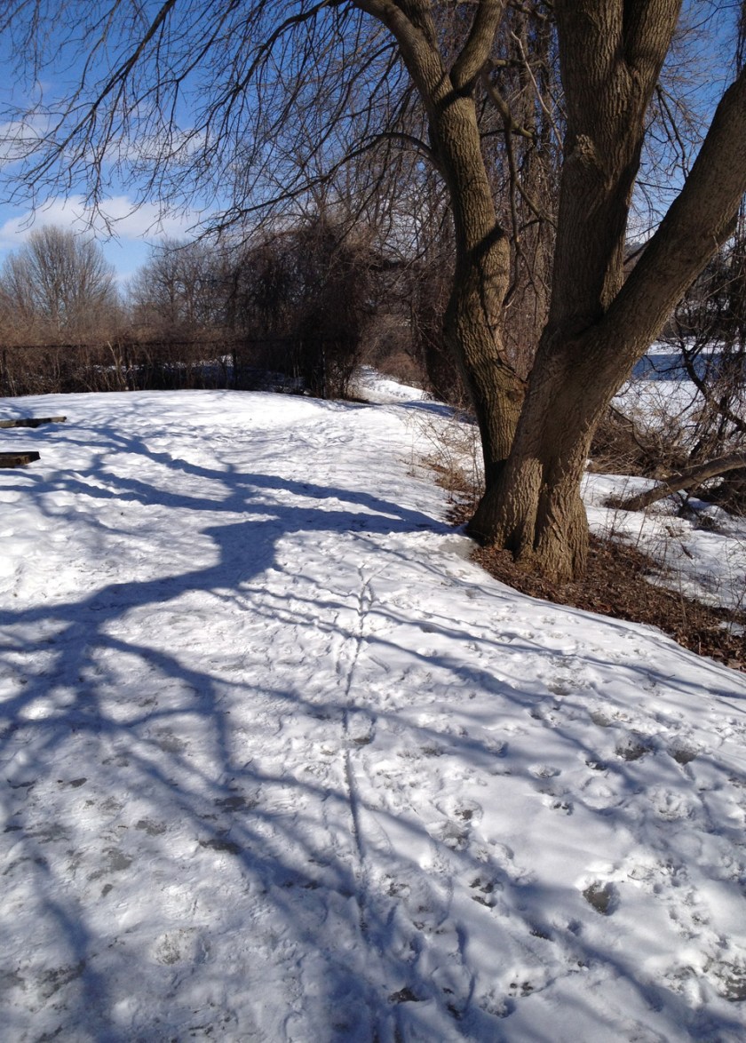 Path along the Rideau River