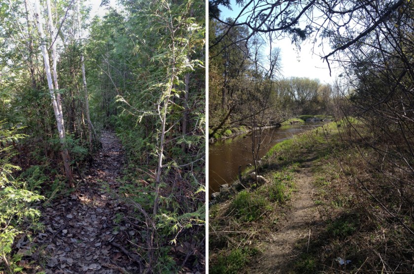 Path along Greens Creek