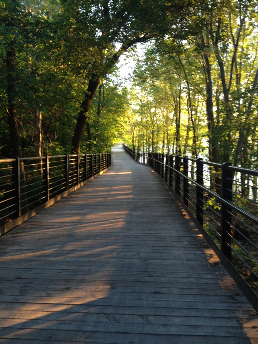 Out on the boardwalk.