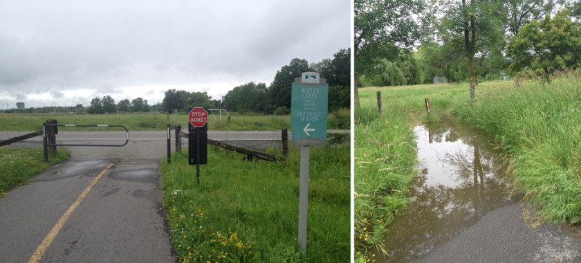 Path meets Corkstown Road....... and puddle along gravel path where I got my soaker