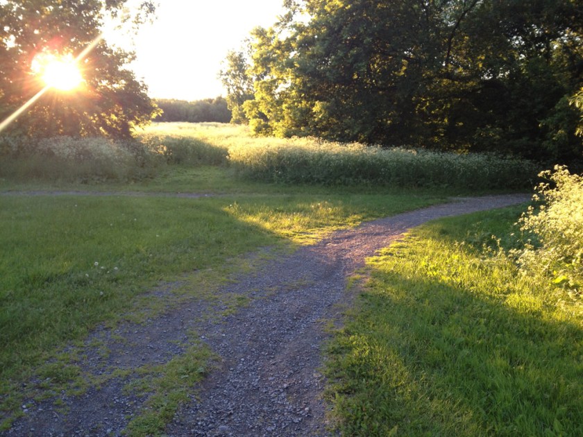 Start of the gravel path