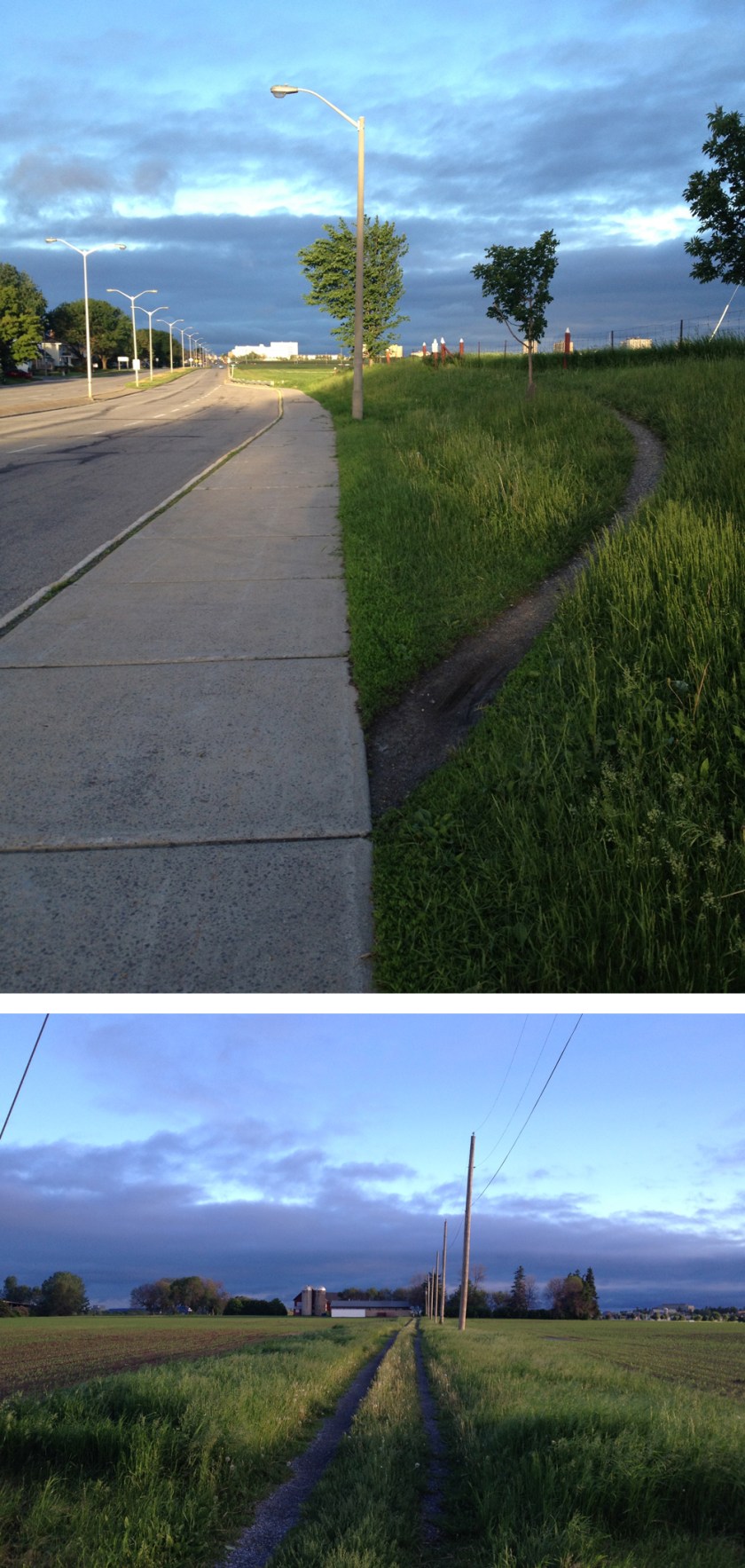 Path to Experimental Farm off Baseline.