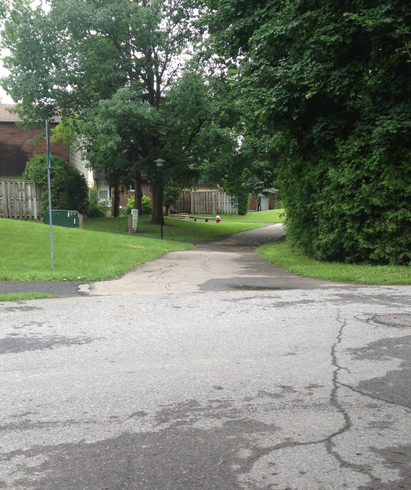 Path beyond Petrie Lane