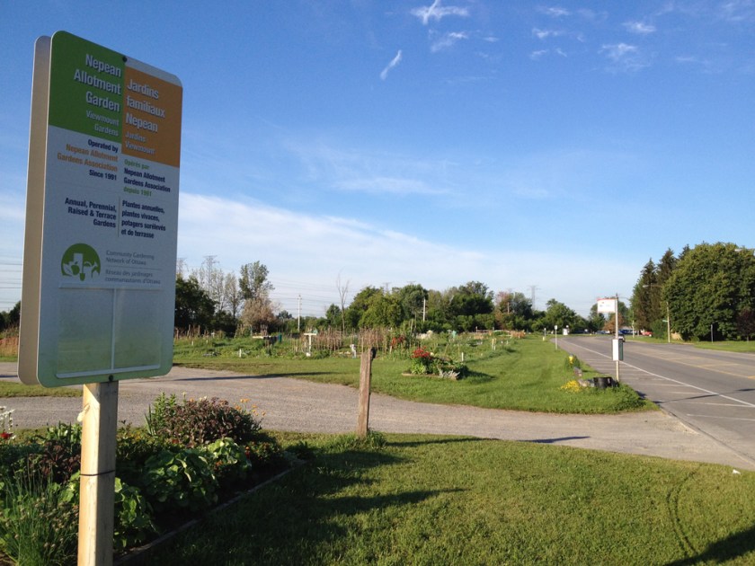 Nepean allotment garden