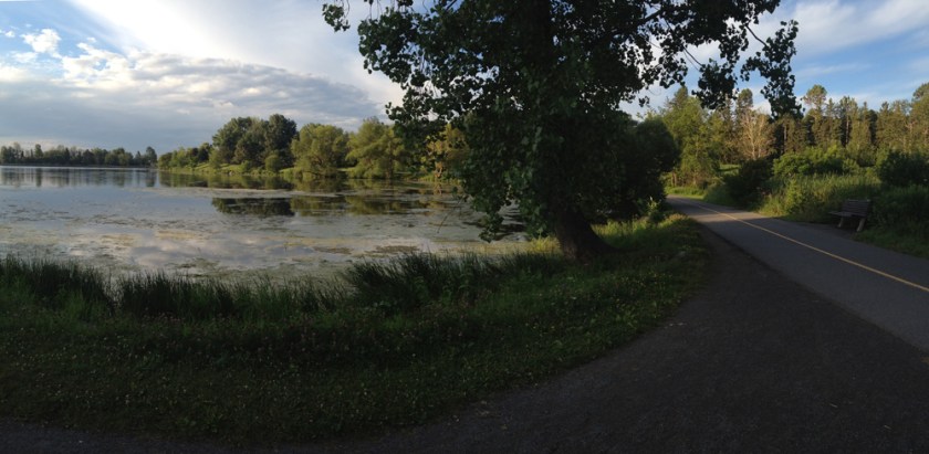 Path on the other side of Dows Lake