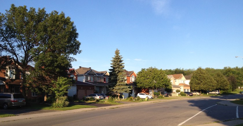 Trees of Barrhaven
