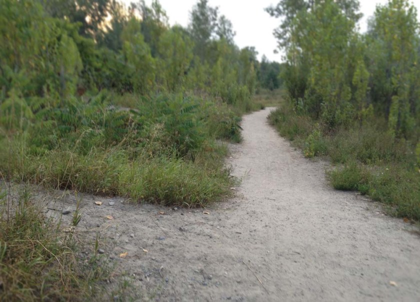 Path through Conroy Pit