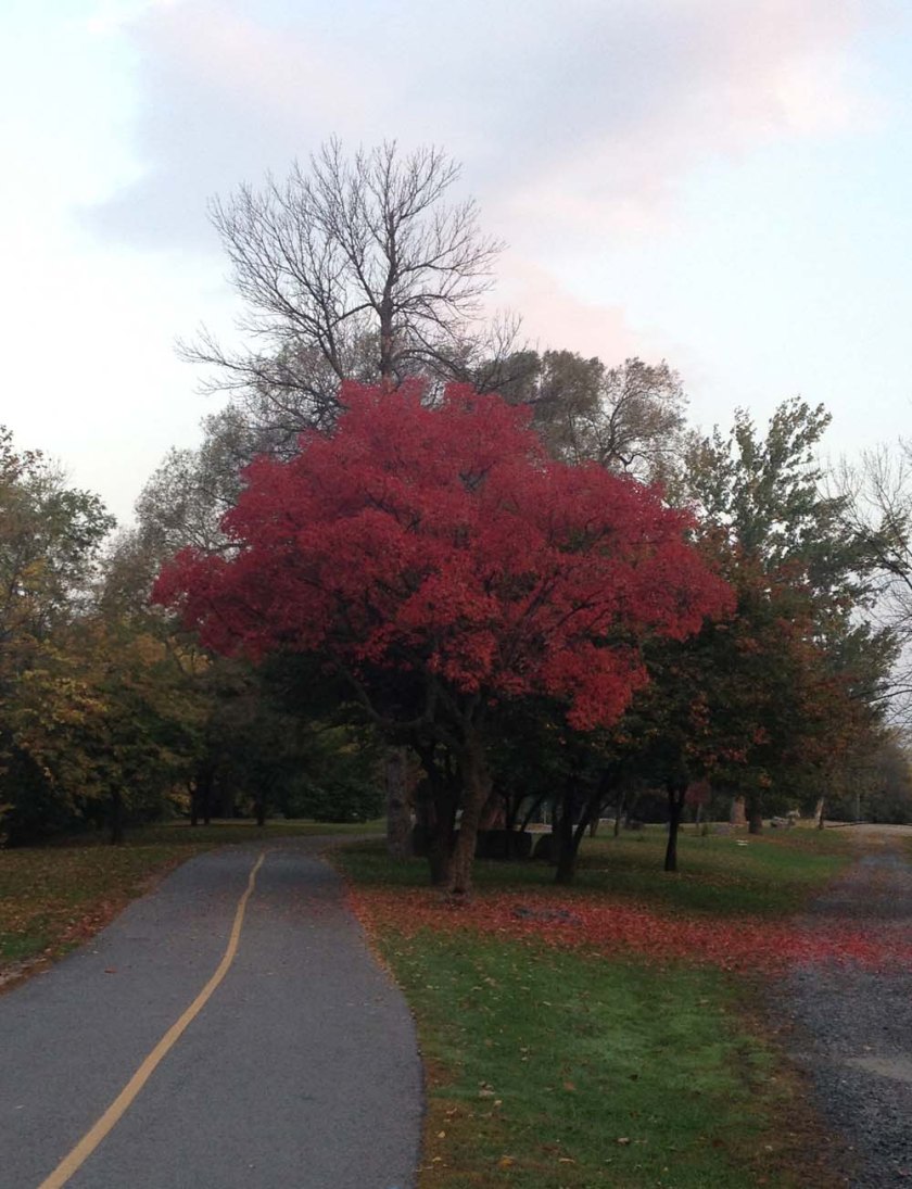Path along the Rideau River