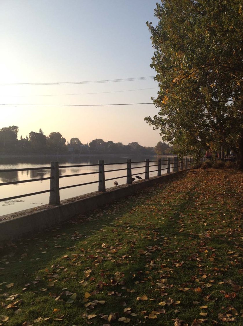 Canal near Landsdowne 