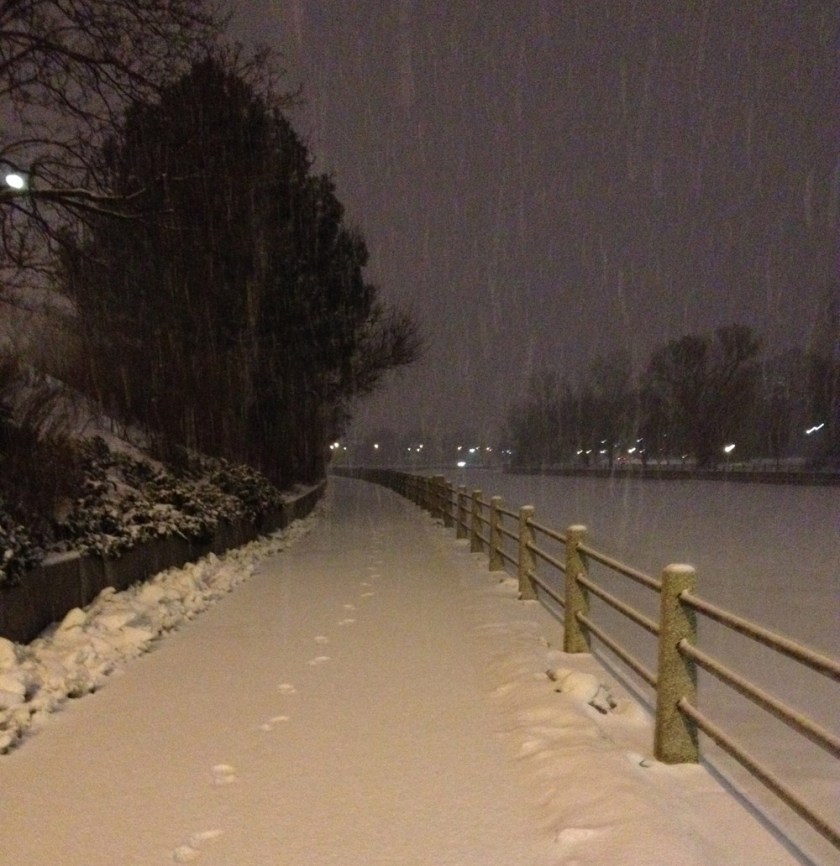 Path along the Rideau Canal