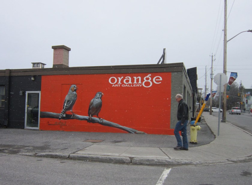 Orange Gallery