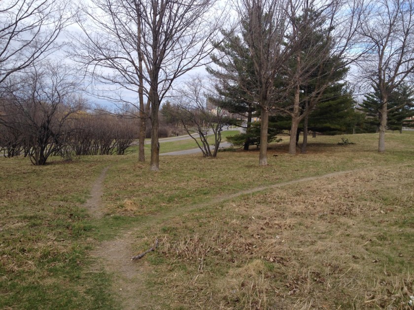 So many paths to choose from....