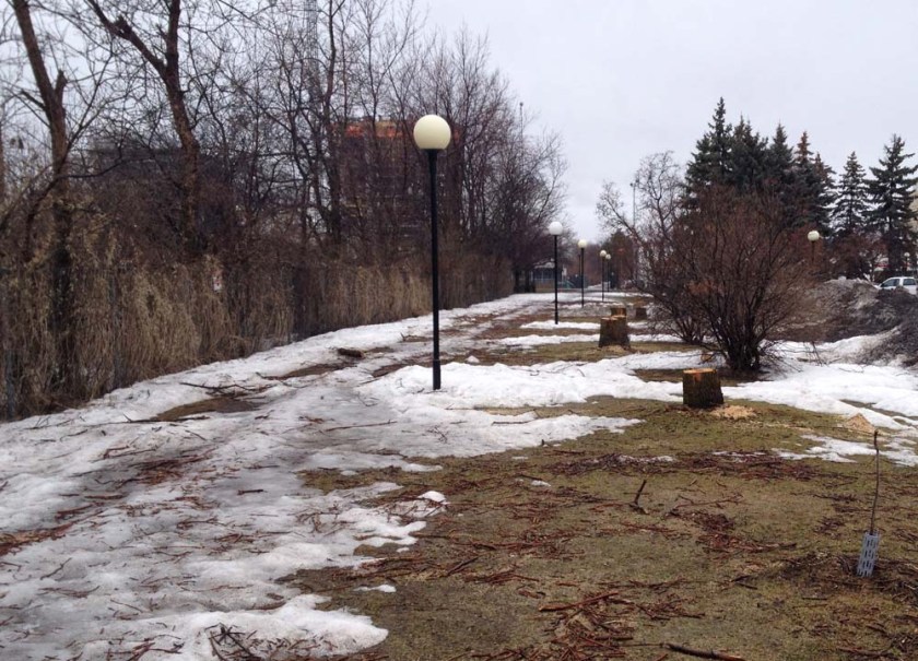 O-Train path between Prince of Wales and Carling
