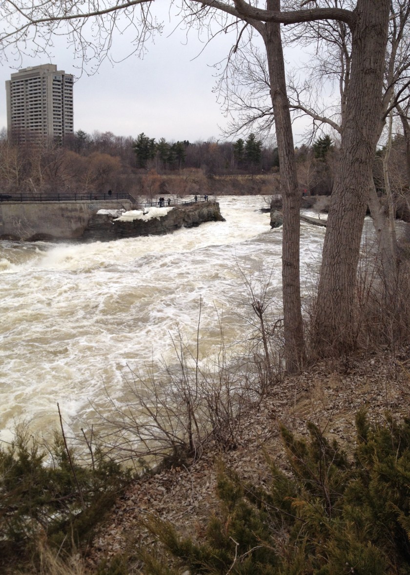 View of falls from the south shore