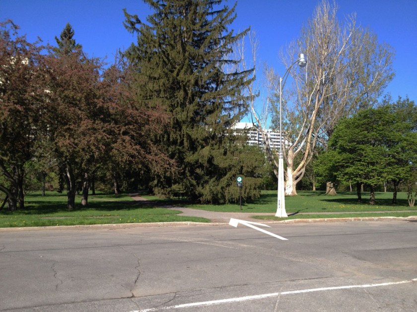 Path through the park at the end of Coupal St