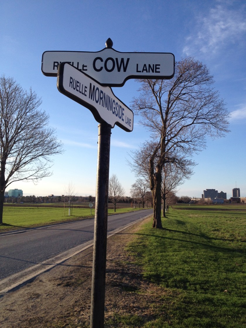 Corner of Cow and Morningside Lanes