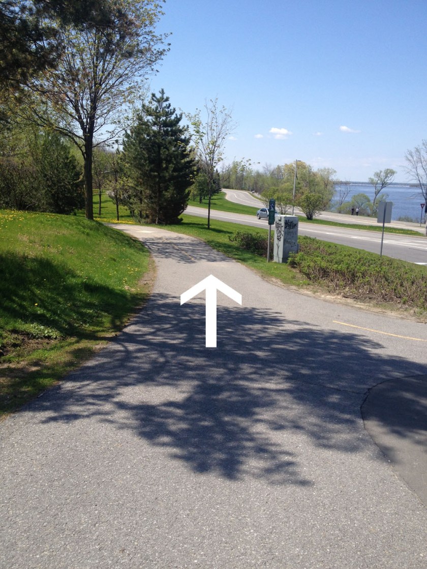 Path on south side of Parkway