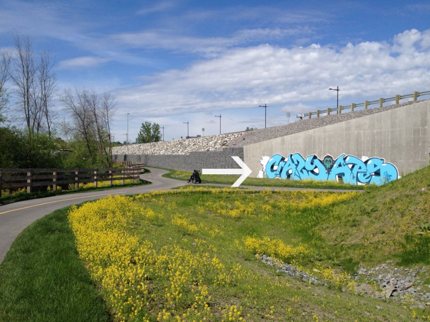 Path under the Rapibus Transitway.