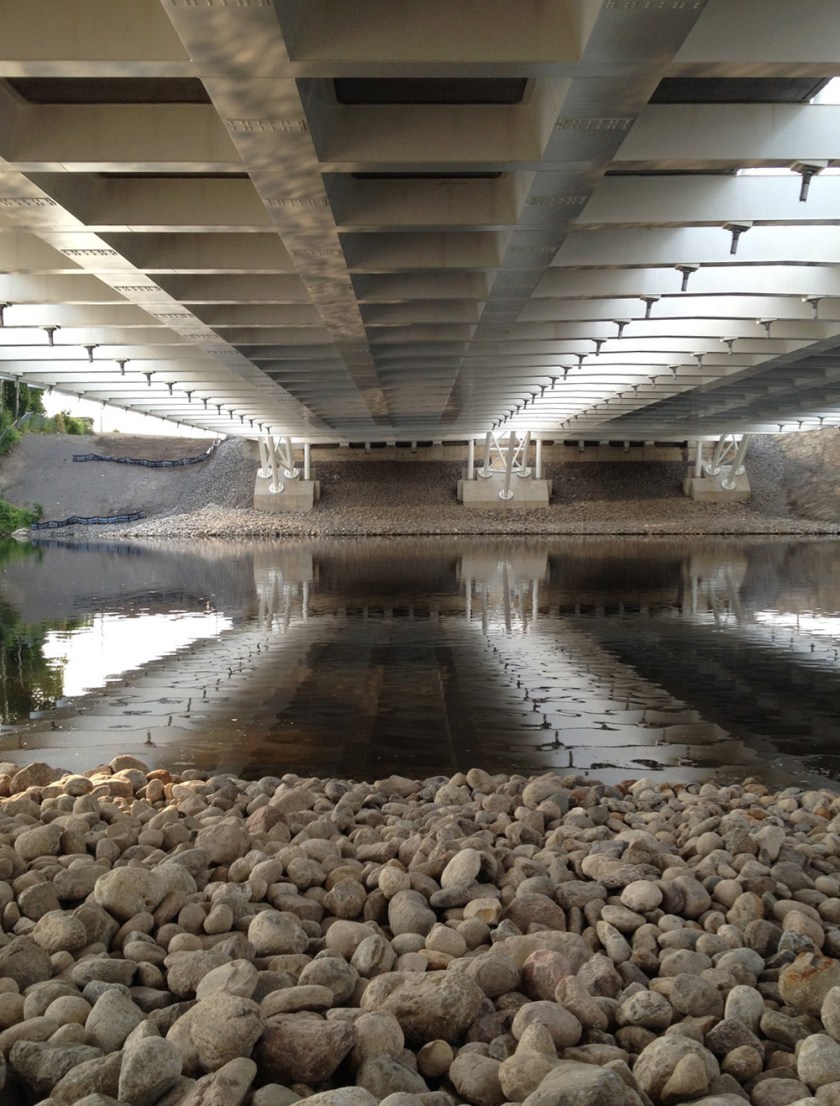 Strandherd underbelly