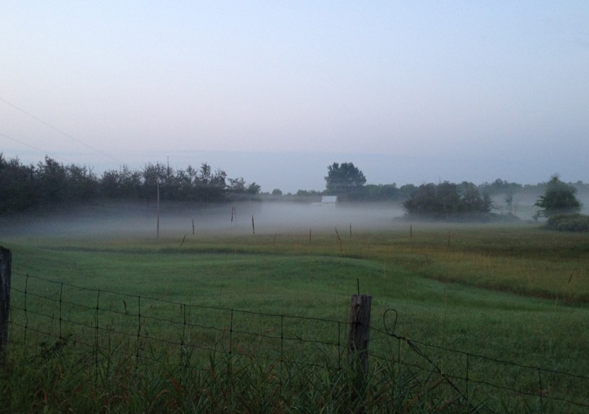Early morning mist rising on a farmers field near Clarendon