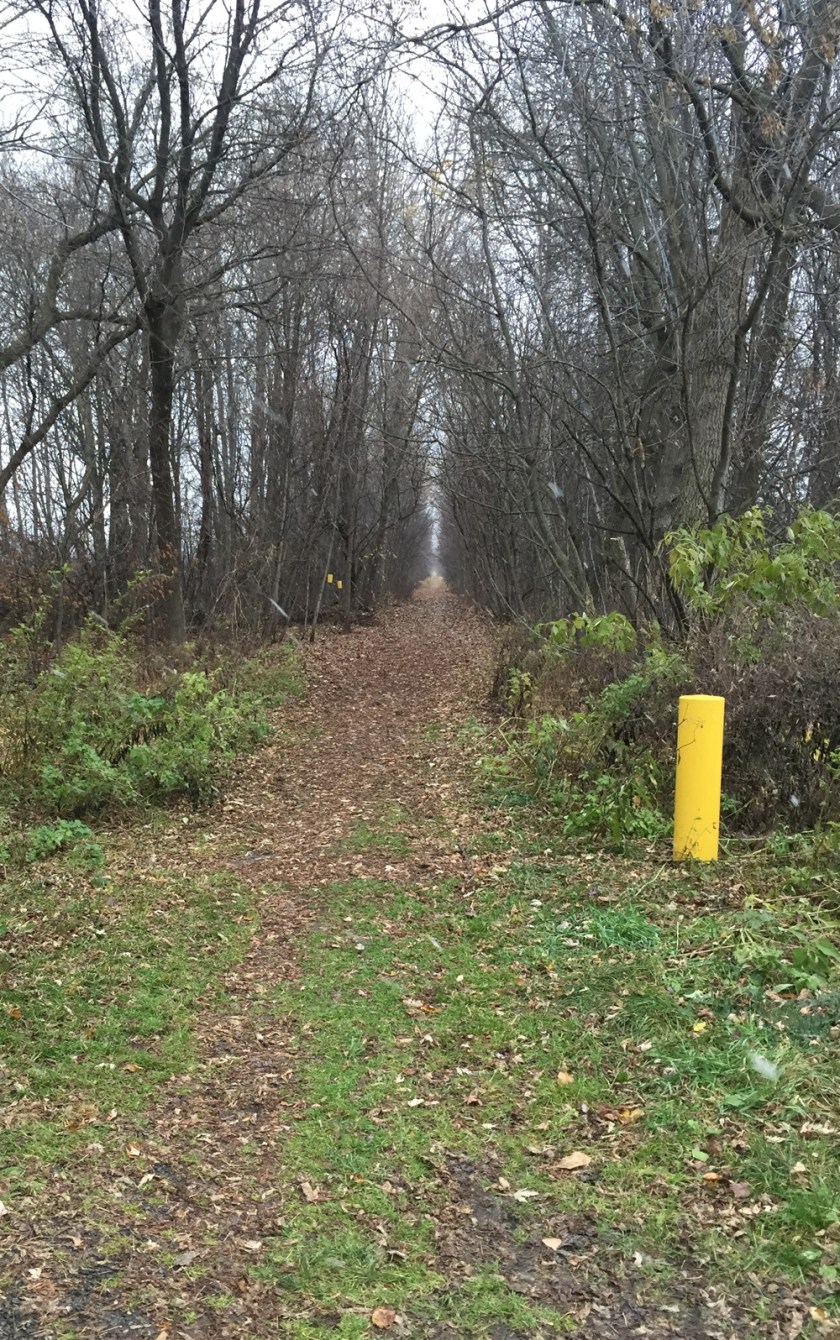 Old rail line beyond Forced Road