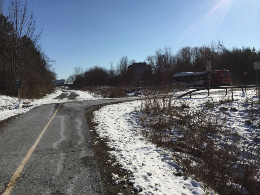 Turn right along path across Transitway towards Algonquin