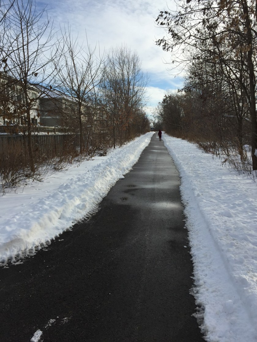 Path between new Barrhaven housing and the Transitway