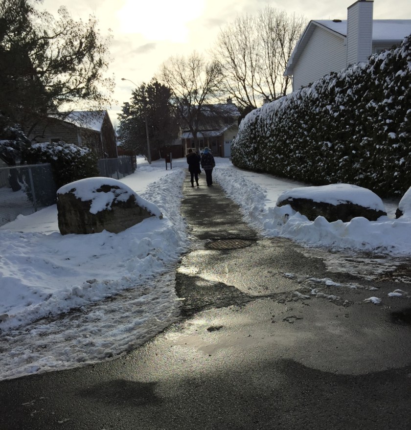 Path link to Pickwick Drive