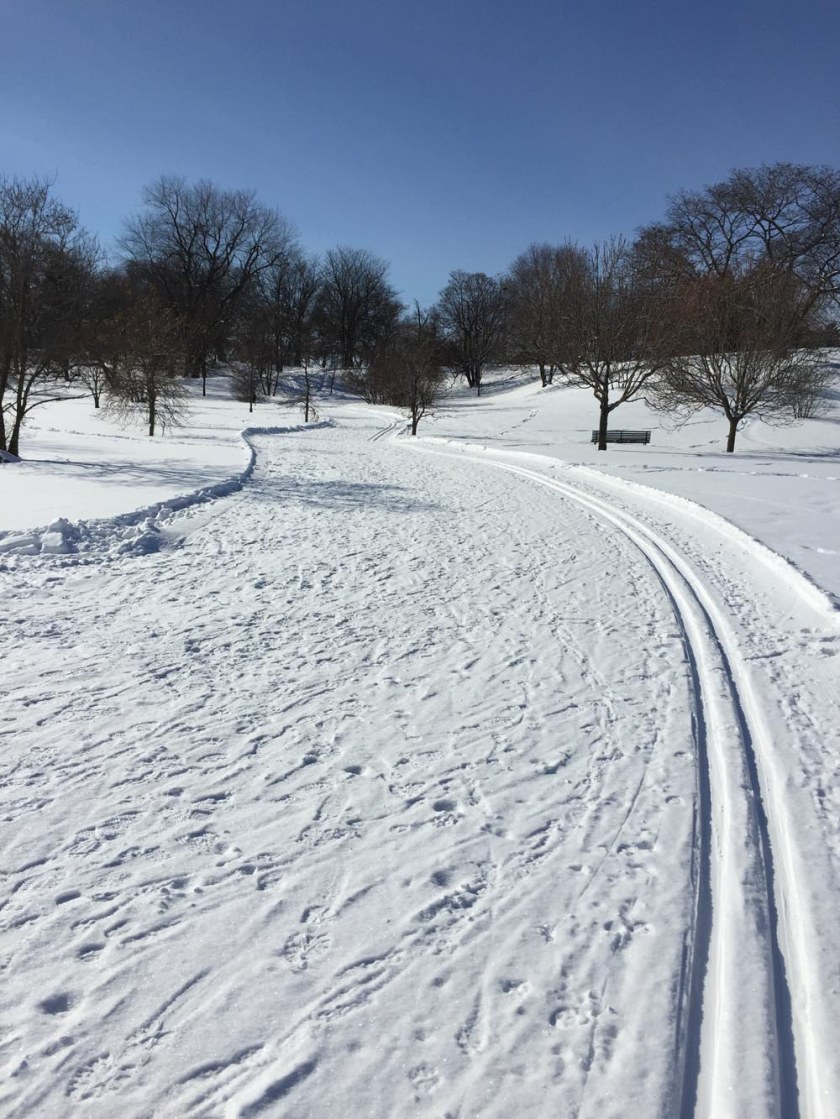 Trail through Arboretum