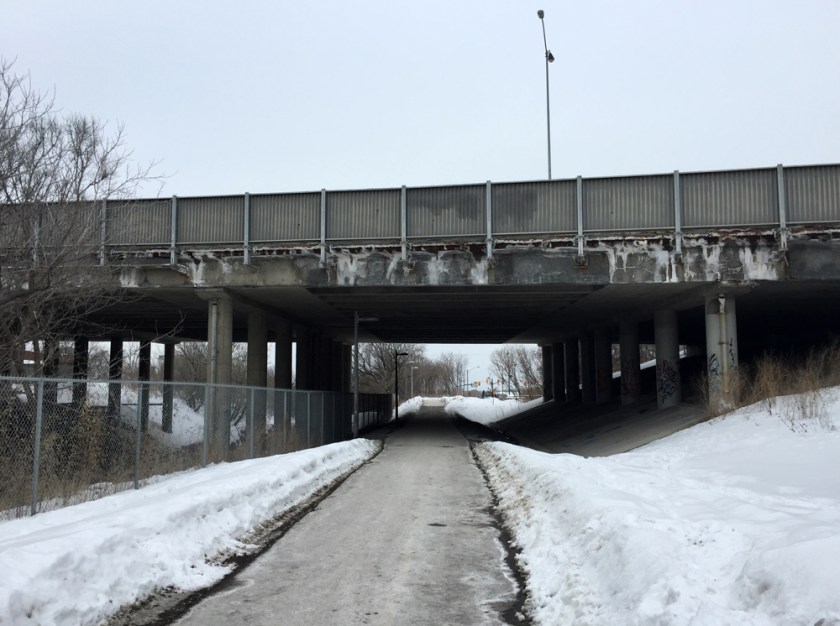 O-Train Path, from the south side of the Queensway