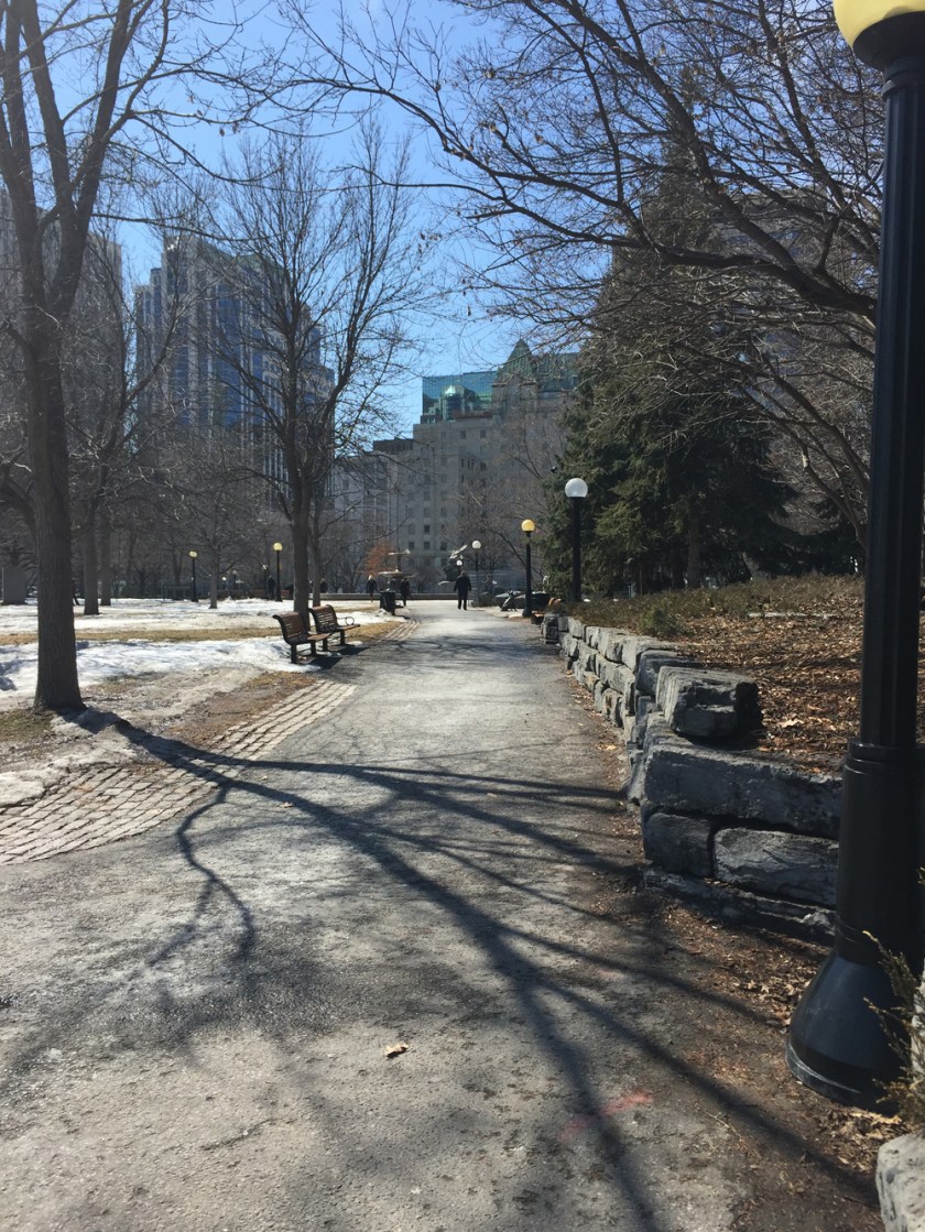 Confederation Park in the Spring