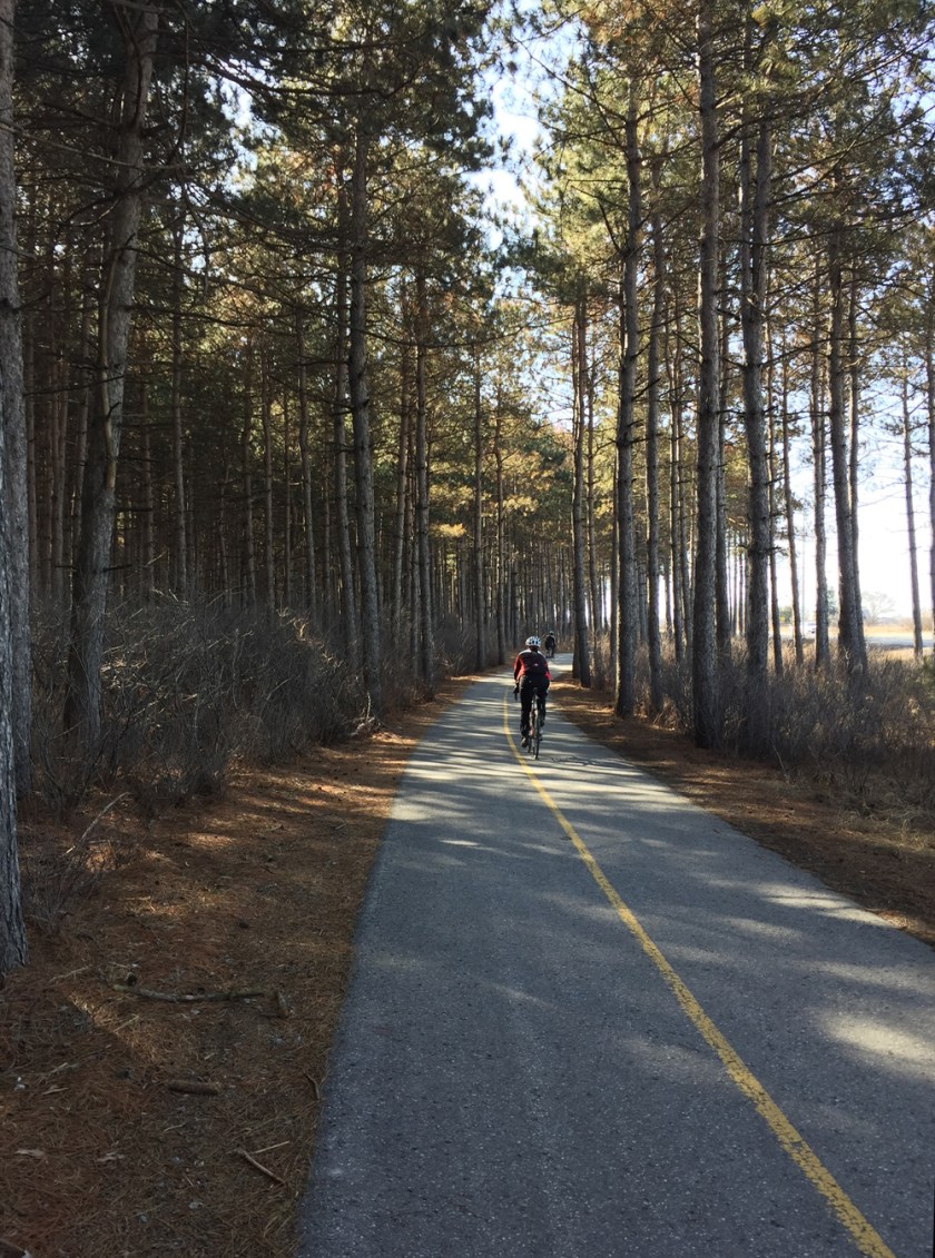 Woodsy portion of path along Woodroffe