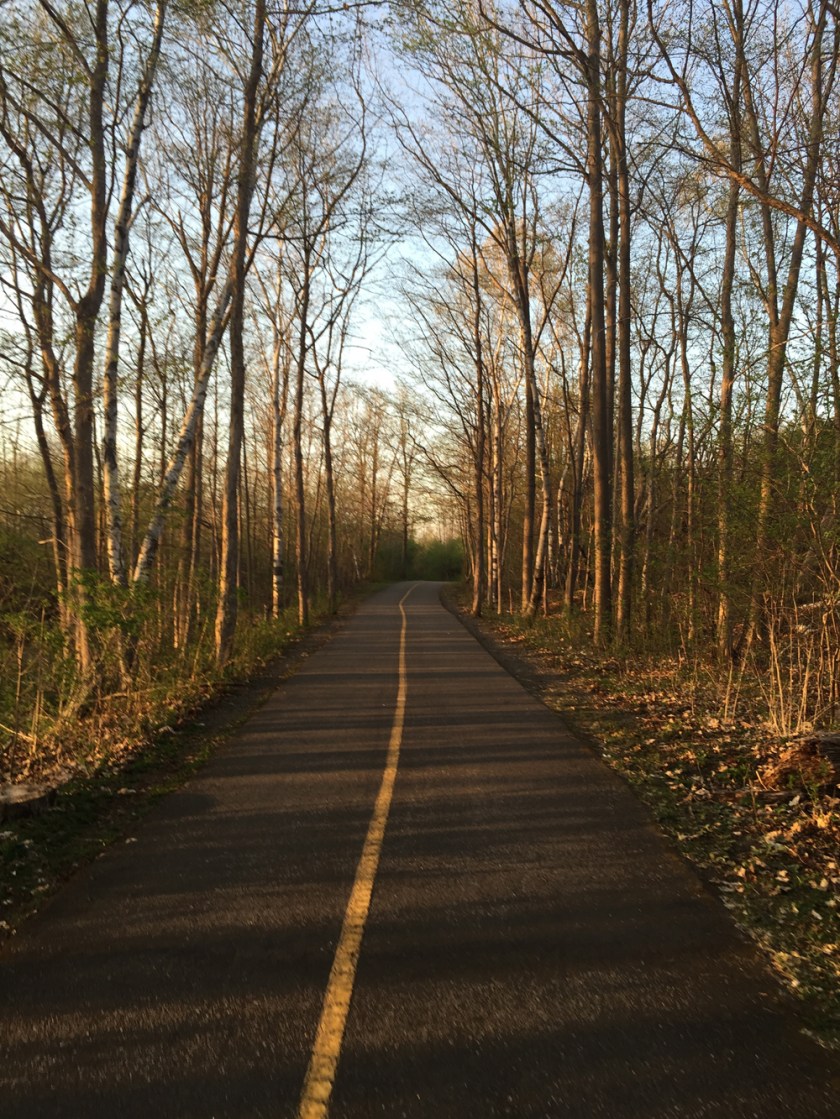 Wooded section of Experimental Farm Pathway between Maitland Avenue and Merivale Road