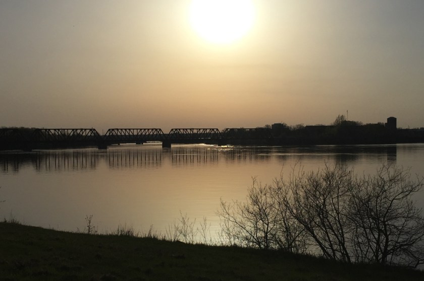 View from the Ottawa River Pathway