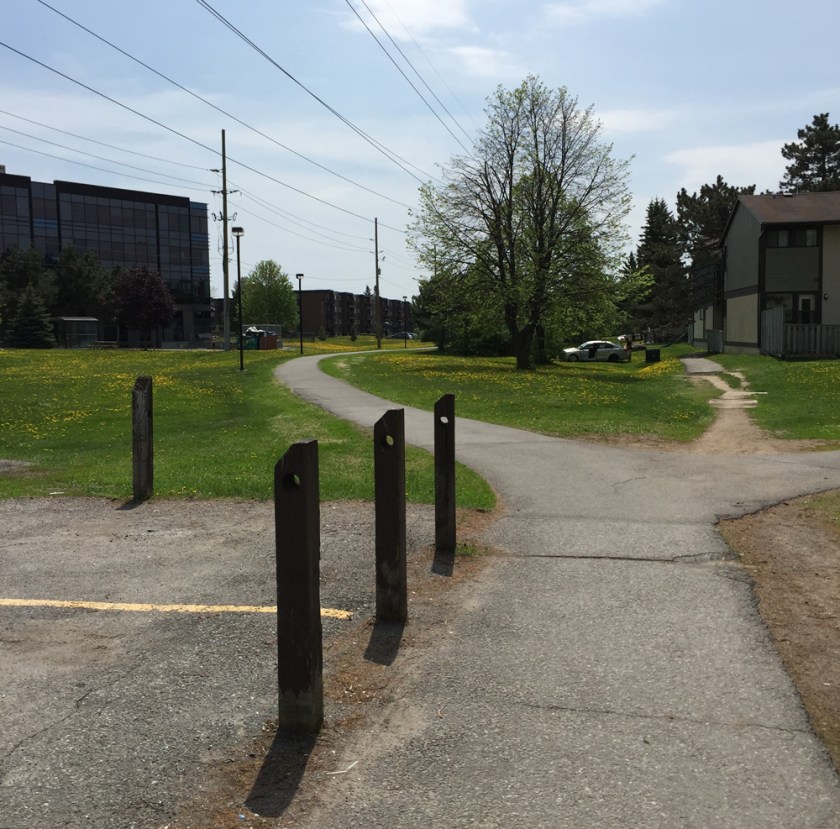 Path between the transitway pedestrian bridges and Innes Road
