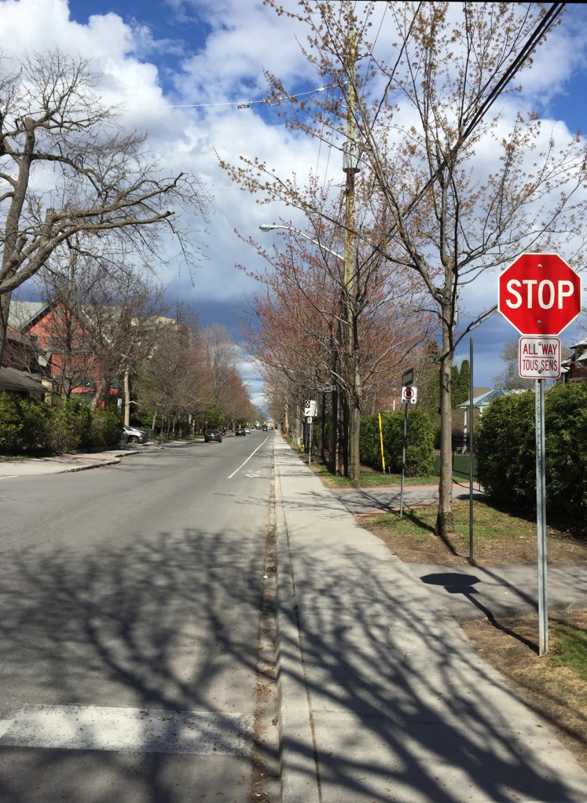 Heading east on the bike lane along Wilbrod