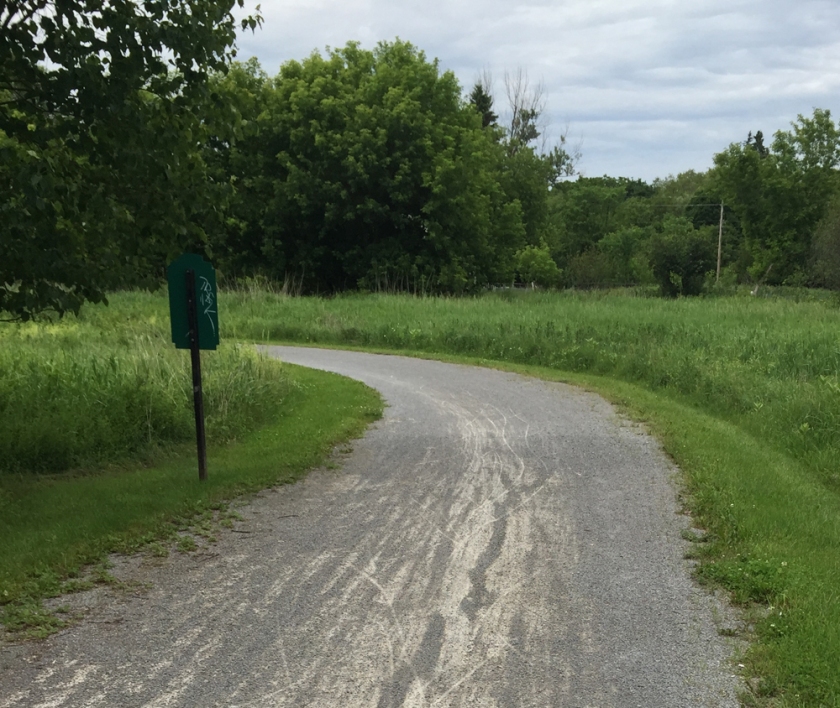 Short section of gravel path on the way to Burke Road