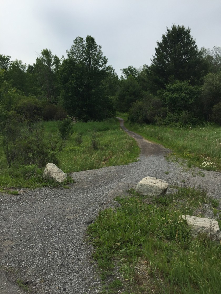 Start of path on north side of Carling opposite Burke Road